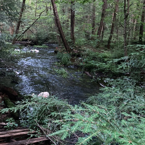 Meet your Posher, Esme - Picture 2 of 2